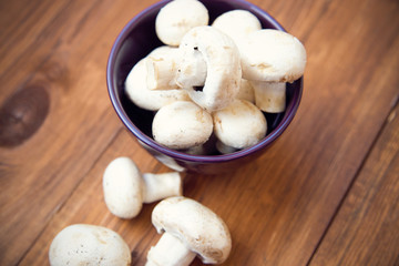 mushroom