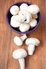 mushroom