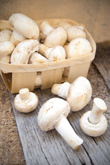 mushroom