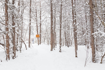 snow road
