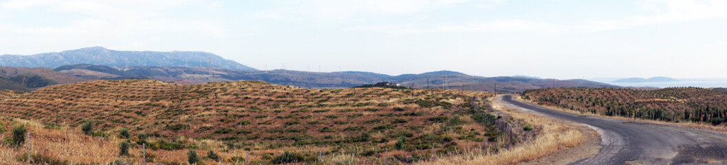 Road