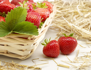 Bio Erdbeeren