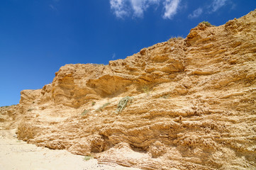 sand dune