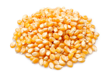 Corn grains