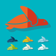 Naklejka premium Flat design: turtle
