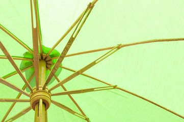 Green Umbrella