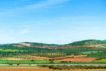 Fototapeta na wymiar picturesque fields in Spain