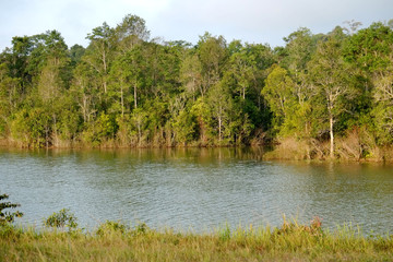 autumn view of lake