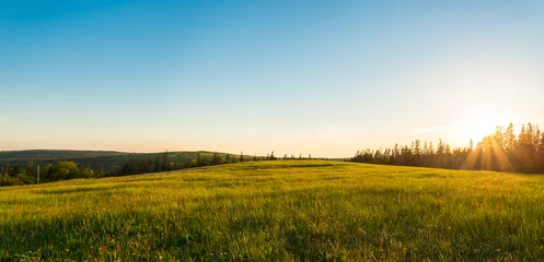 Photo sur Plexiglas Campagne Panorama of green meadow at sunset
