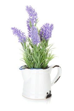 Bunch of decorative lavender in metal pitcher