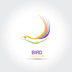 Color Bird abstract flying icon design template.