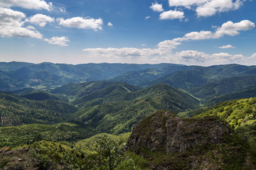 Fototapeta na wymiar massif des Vosges