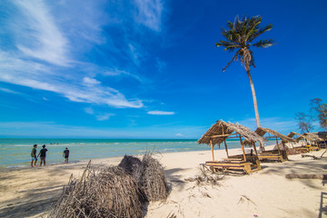 Sea and coconut palms