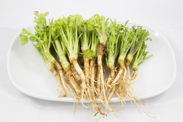 Root of Parsley