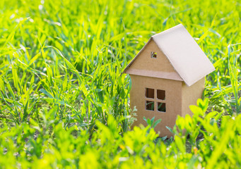 paper house on spring grass