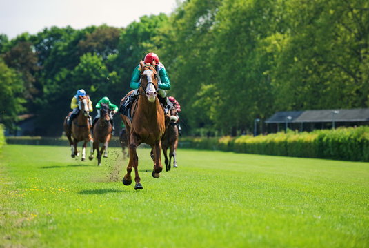 Rennpferde mit Jockeys auf der Zielgeraden