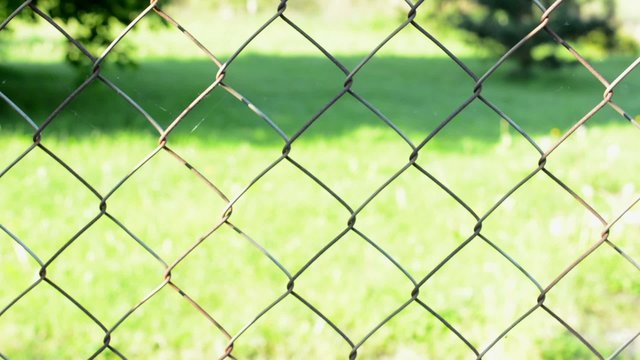 metal fence - in the background of grass
