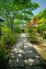 japanese garden, view of Japanese garden, Kyoto, Japan