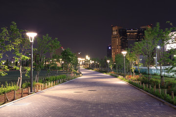 beautiful garden walkway with lamps at night