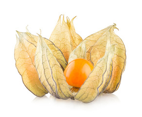 ripe physalis isolated on white background