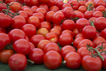 Tomaten