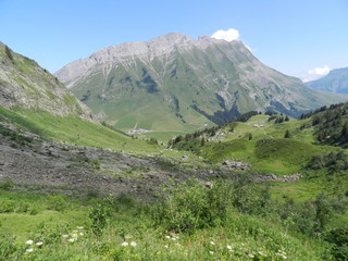 Fototapeta na wymiar paysage montagnard