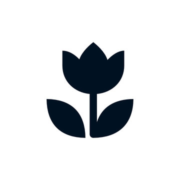 Monochrome icon