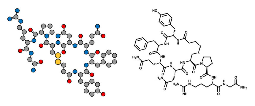 Desmopressin drug, synthetic replacement of vasopressin hormone