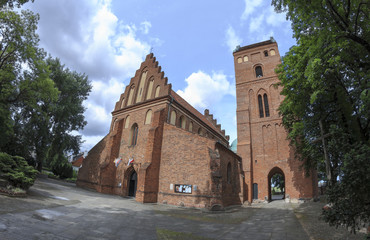 Church of the Visitation of Blessed Virgin Mary, Warsaw - obrazy, fototapety, plakaty