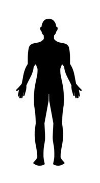 Human male body vector