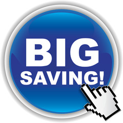 BIG SAVING! ICON
