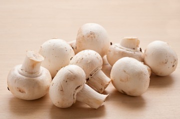 Bunch of mushrooms.