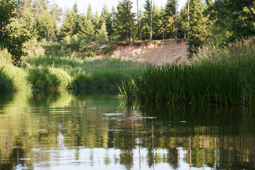 Obraz premium Forest river