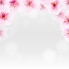 Fototapeta premium Cherry Flower Border With Blur