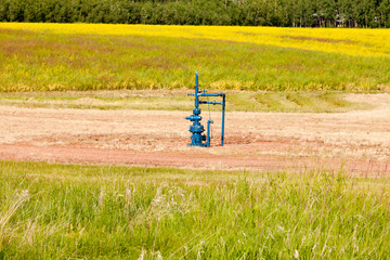 Natural gas wellhead Alberta Canada grassland