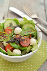 Salad with tomato and mozzarella cheese