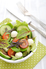 Salad with tomato and mozzarella cheese