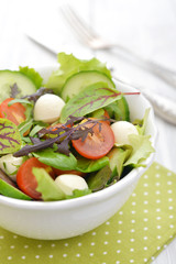 Salad with tomato and mozzarella cheese