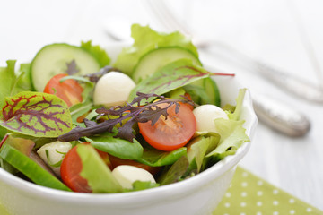 Salad with tomato and mozzarella cheese