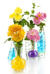 Beautiful flowers in vases with hydrogel isolated on white