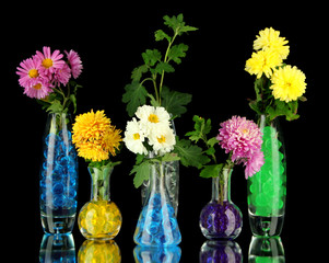 Beautiful flowers in vases with hydrogel isolated on black