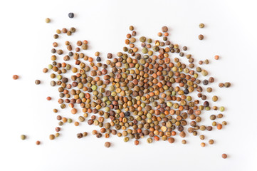 Legume Roveja seeds