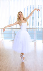 Beautiful balerina dancing in ballet class © Africa Studio