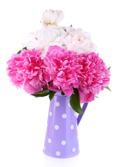 Beautiful pink and white peonies in vase, isolated on white