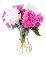 Beautiful pink and white peonies in vase, isolated on white