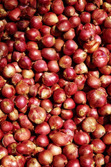 background from close up asian onion in sun light