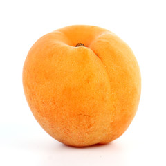 Fresh Apricot