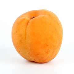 Fresh Apricot