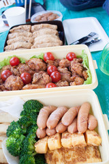 Japanese picnic lunch box