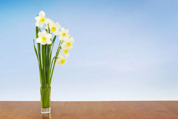 Bouquet of daffodils against blue sky